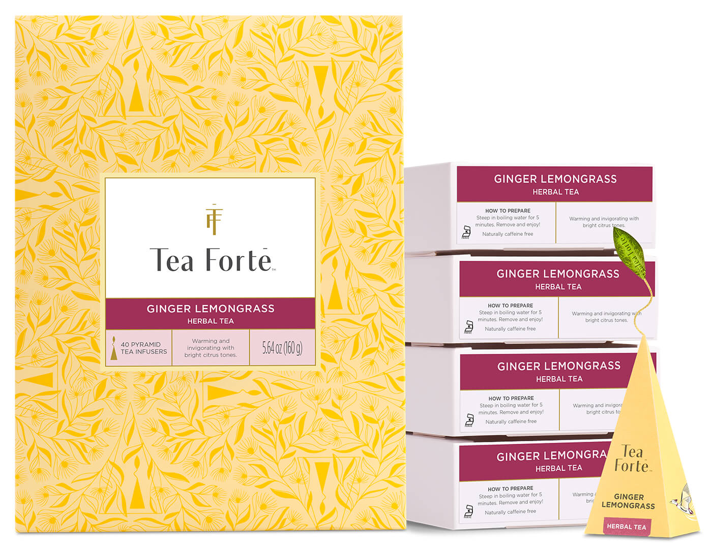 Ginger Lemongrass Event Box 40ct